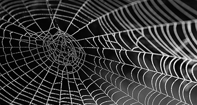 web